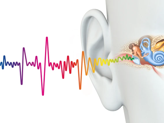 an image of sound waves going into the ear and reaching the cochlea